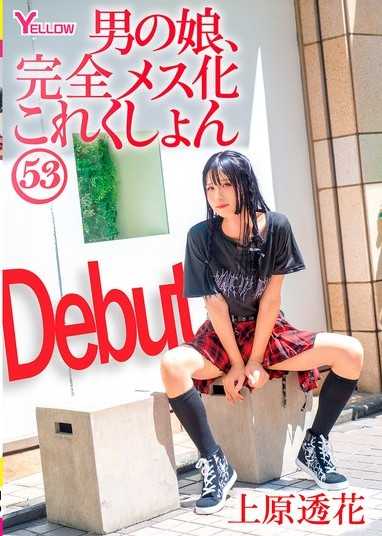 男之娘、完全女性化精选 53 上原透花