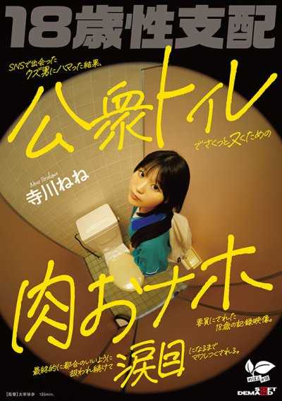 迷戀在社交網站上認識的渣男，最終成為他用來在公共廁所裡輕鬆解決性需求的肉體工具的18歲記錄影片。被持續地處理得符合他方便的方式，直到眼淚模樣被完全利用。 寺川寧寧